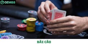 Bài Cào