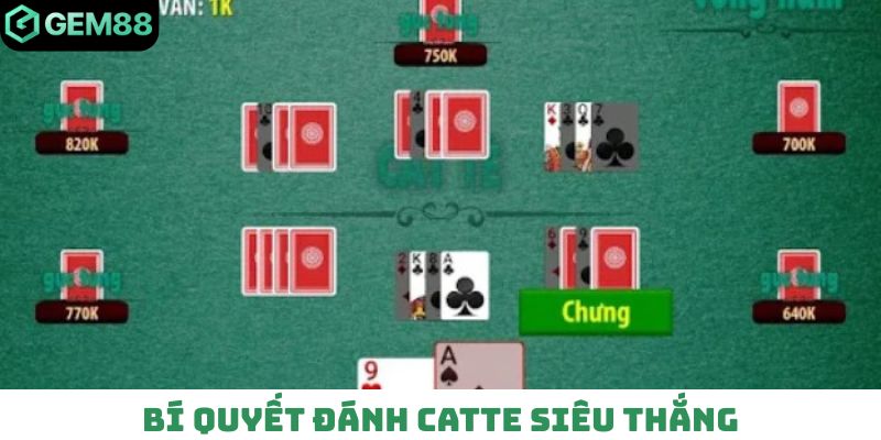 Bật mí bí quyết đánh Catte siêu thắng đến 80%