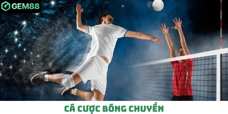 Cá cược bóng chuyền