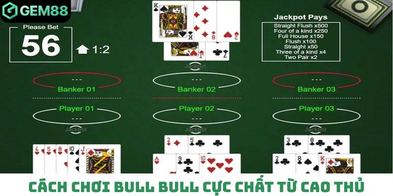 Chi tiết cách chơi Bull Bull từ cao thủ nhà cái