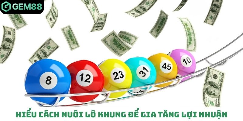 Hiểu cách nuôi lô khung để gia tăng lợi nhuận
