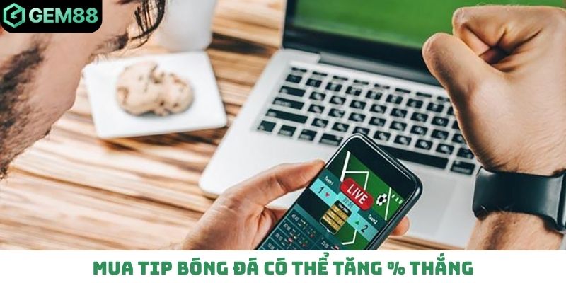 Mua tip bóng đá có thể tăng % thắng